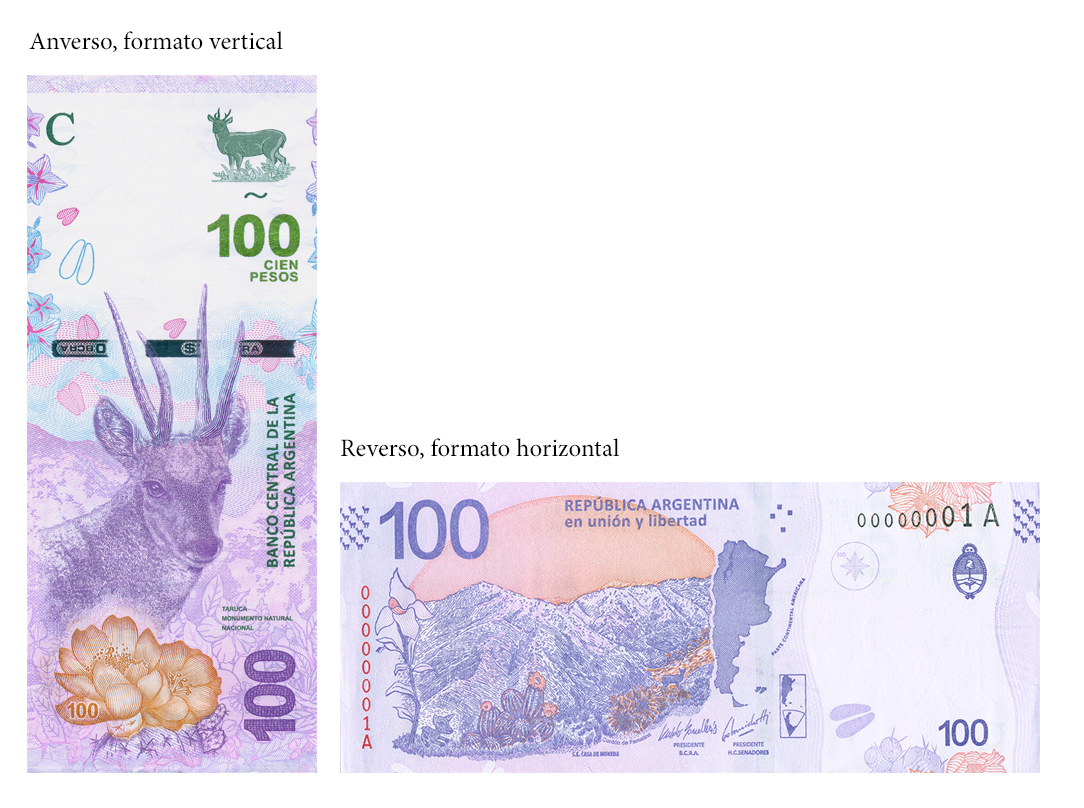 imagen de anverso y reverso juntos
