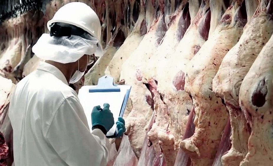Exportacion-Carne