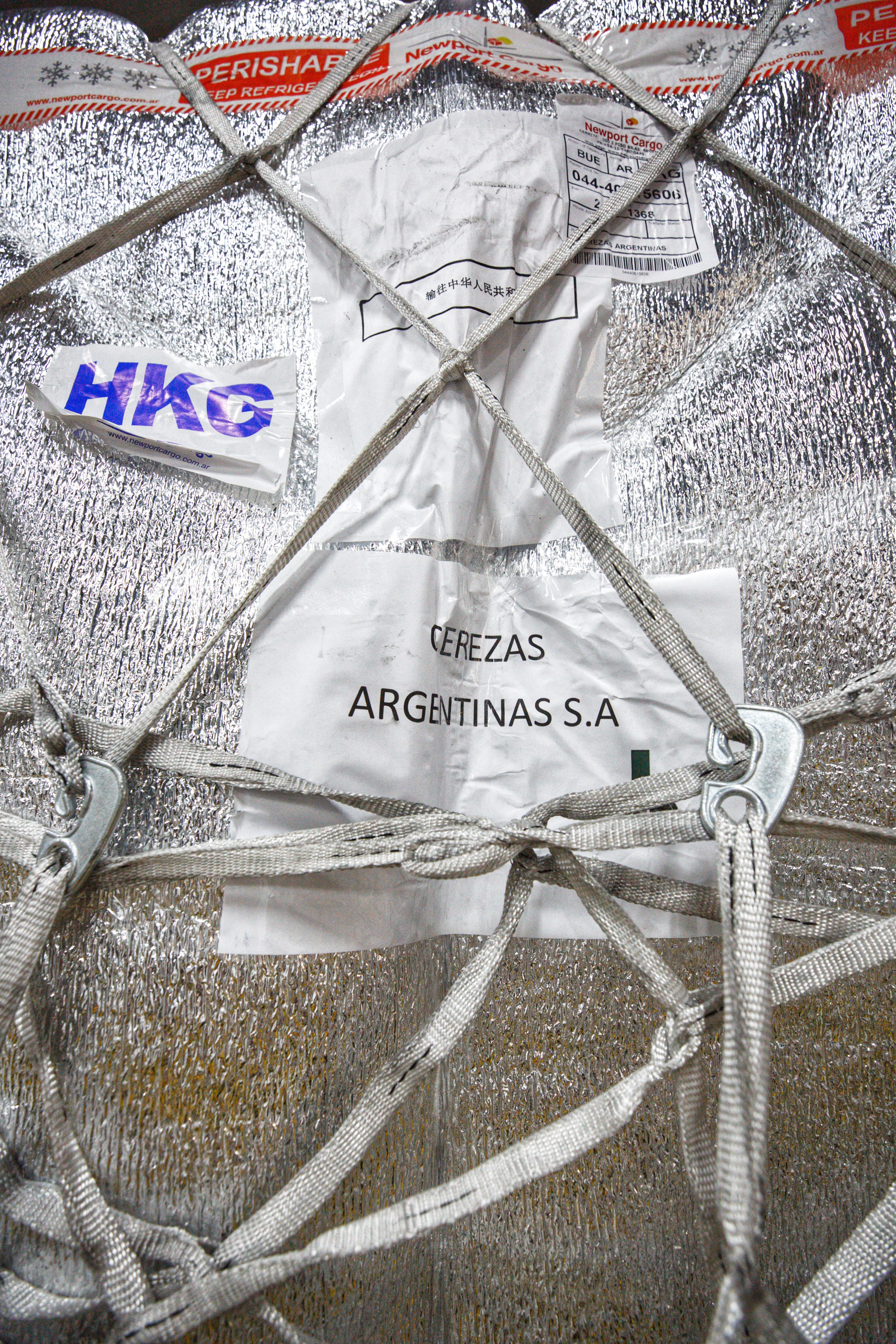 Primera exportación de cerezas a China por avión