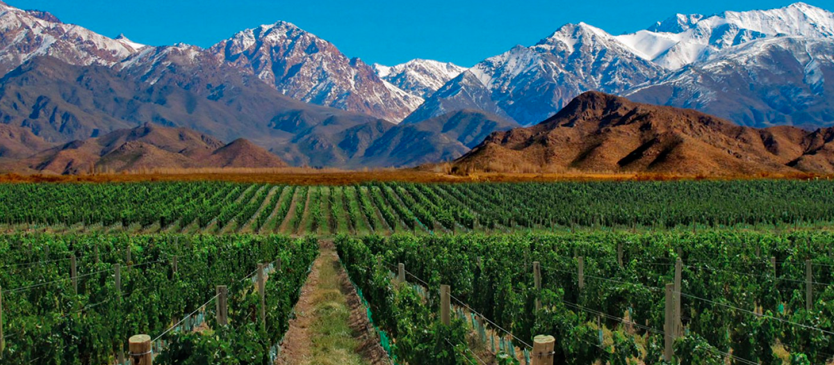 Provincia de Mendoza.
