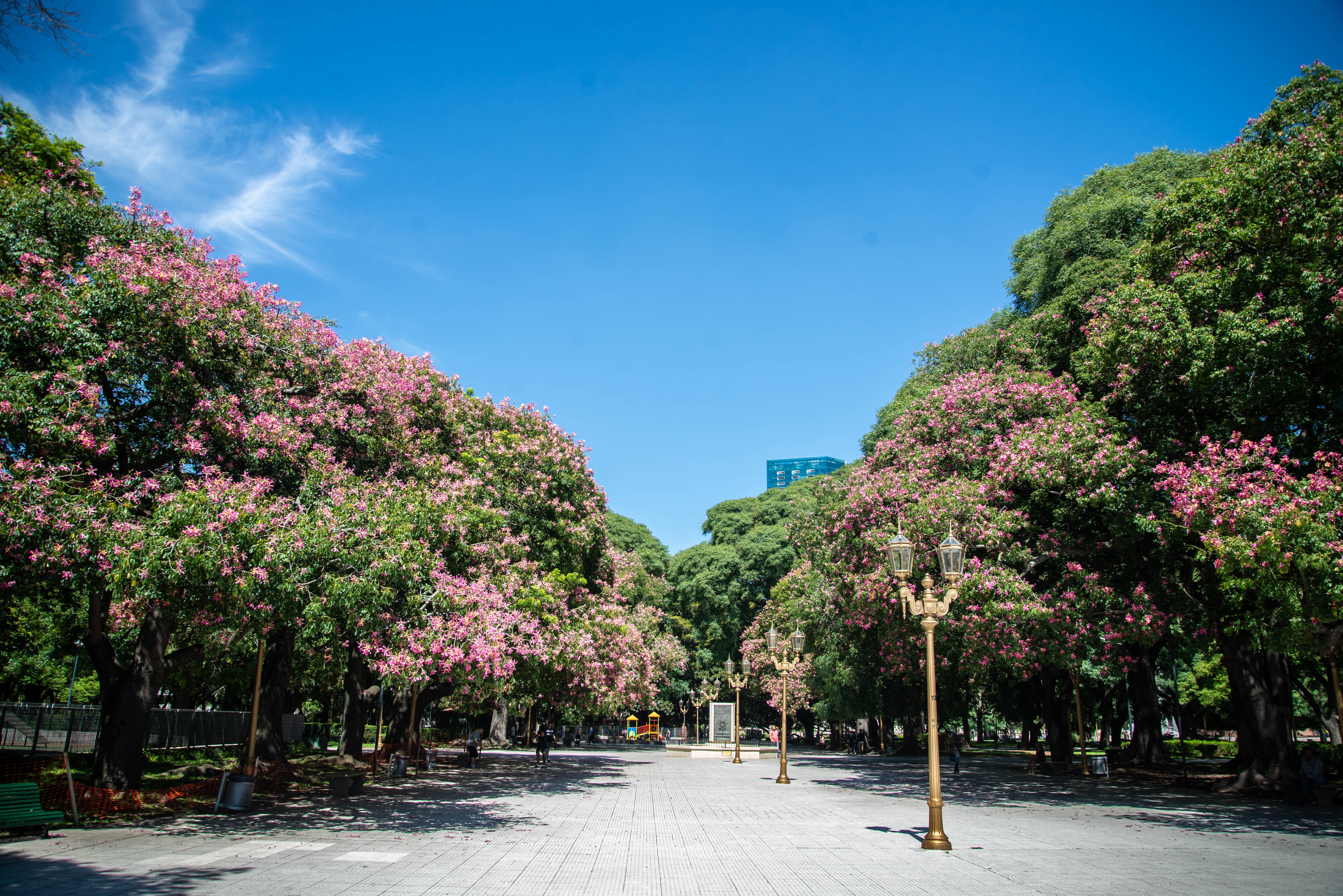 Ciudad de Buenos Aires.