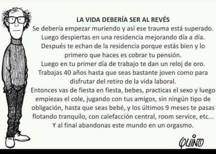 Quino-1 (1)
