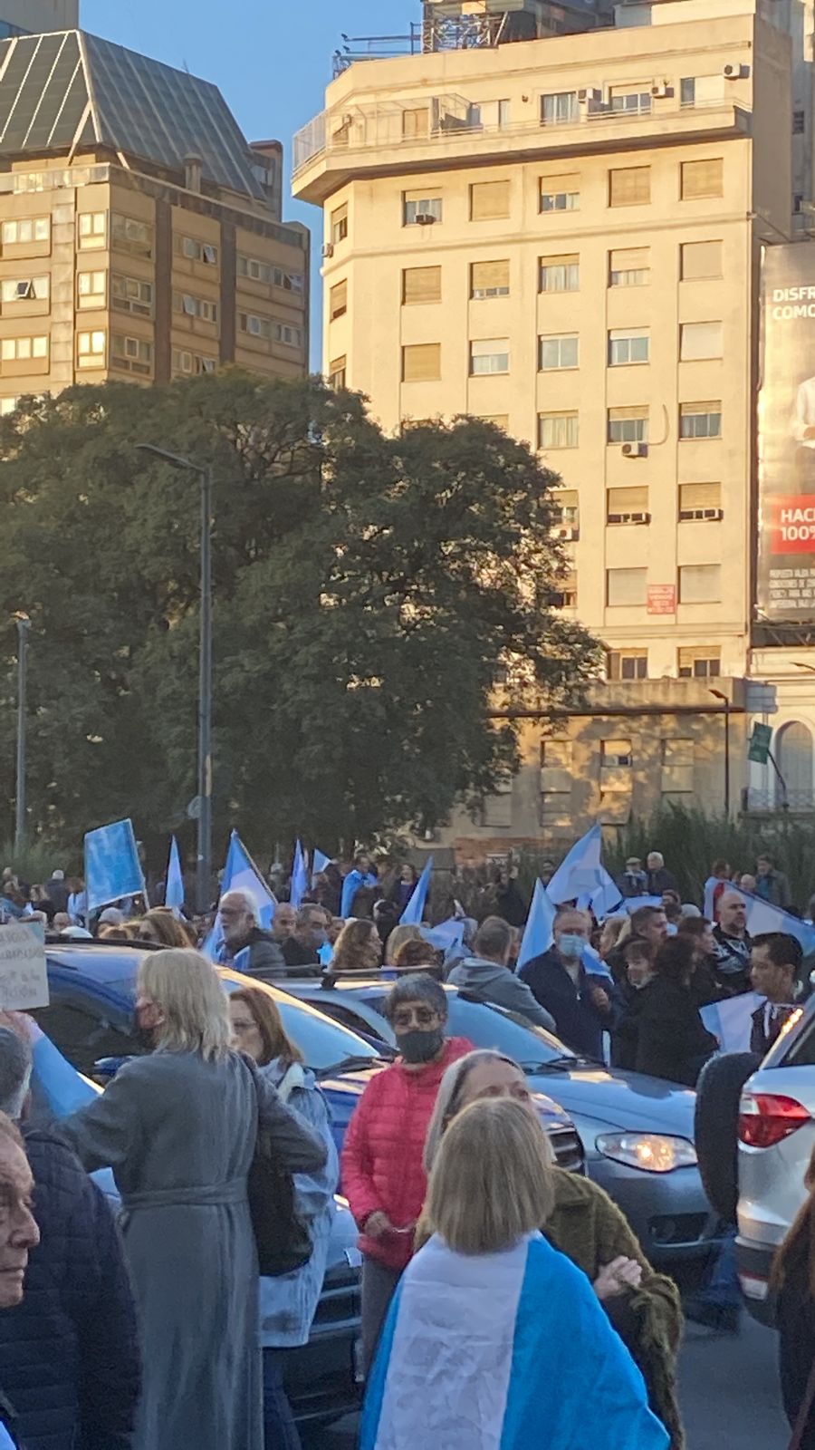 Multitudinaria marcha en contra del Gobierno (3)