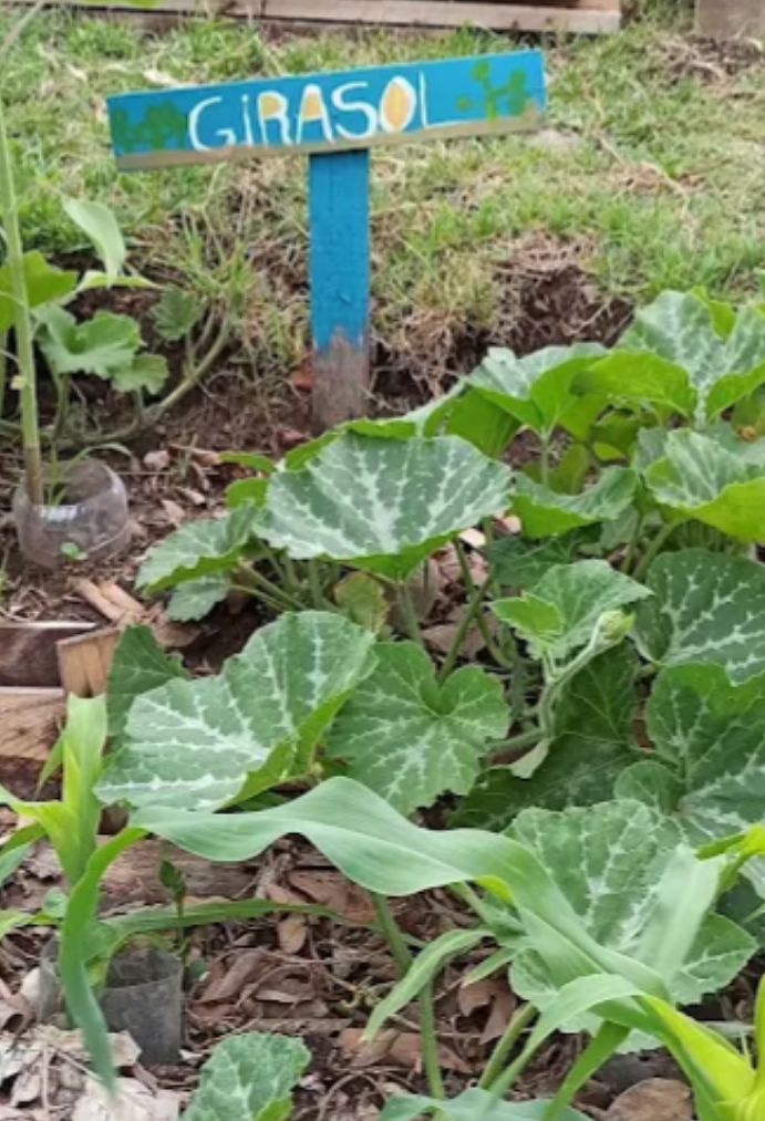 Huerta Vecinal en el barrio porteño de Villa Pueyrredón.