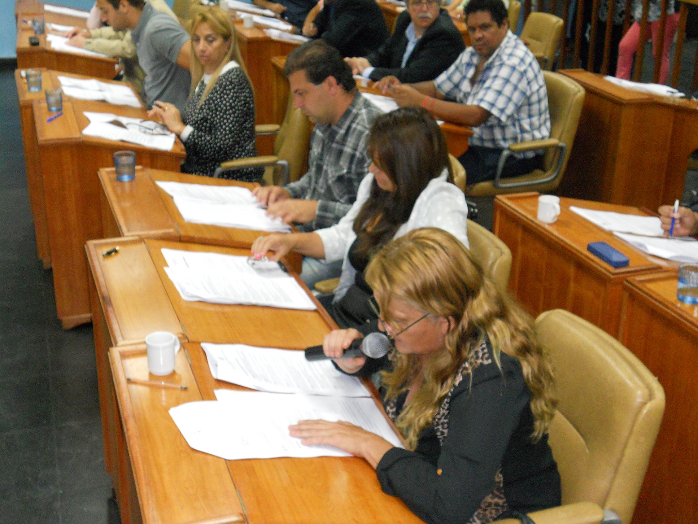 El Ejecutivo vetó proyecto K, pero seguirá trabajando en el tema