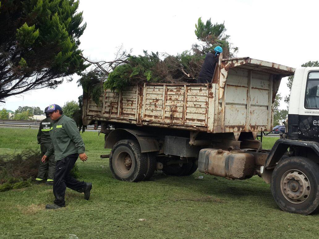 Realizaron trabajos de jardinería, podas y reparación de luminarias en Belén