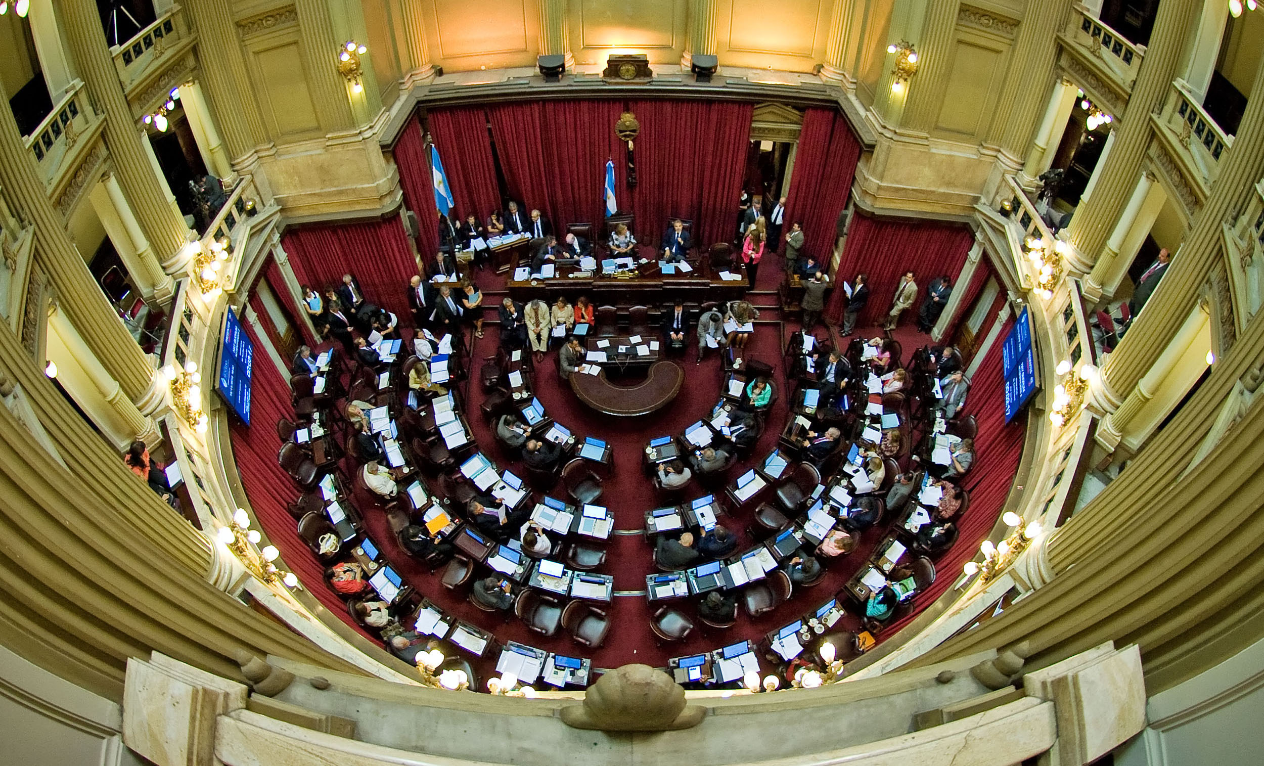El Senado convirtió en ley el proyecto de uso medicinal del cannabis