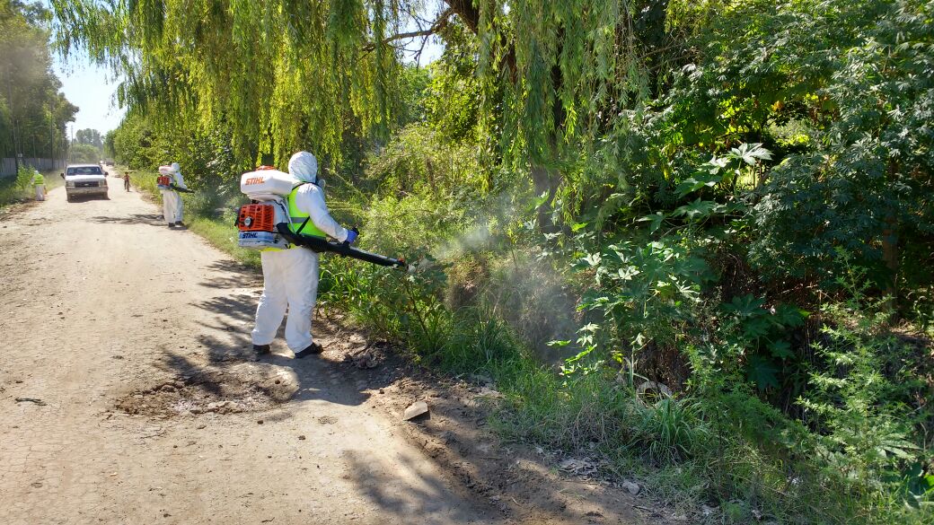 Escobar: continúa la campaña de fumigación para combatir la plaga de mosquitos
