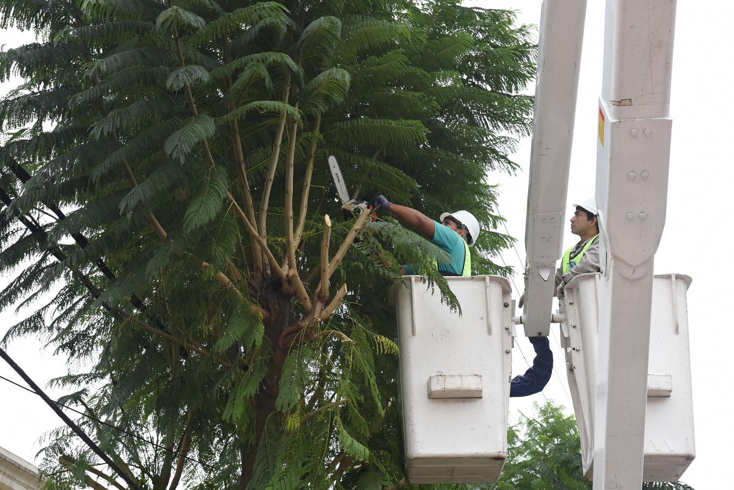 La Municipalidad de Escobar comenzó los trabajos vinculados a la temporada de poda