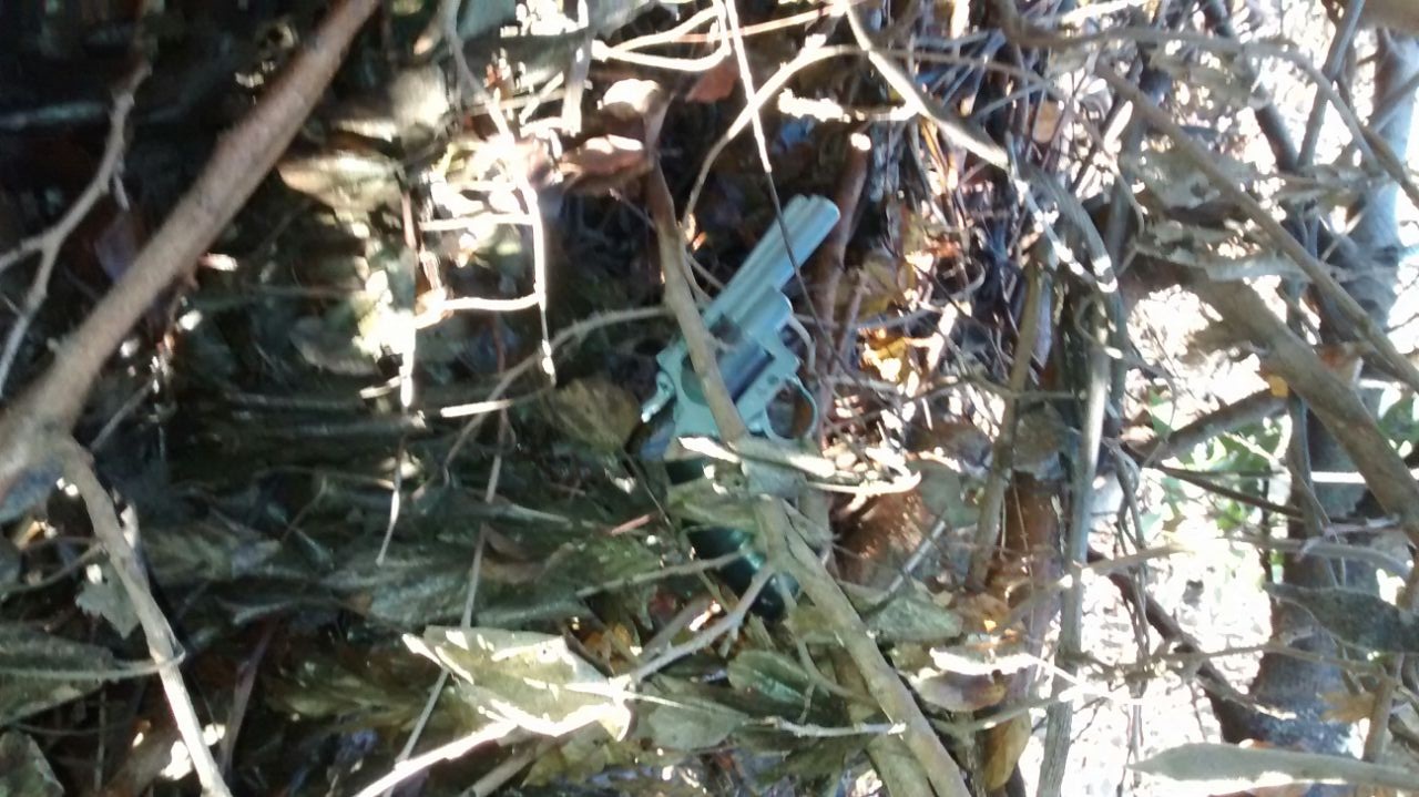 Detienen a ocho personas en distintos operativos policiales en Garín