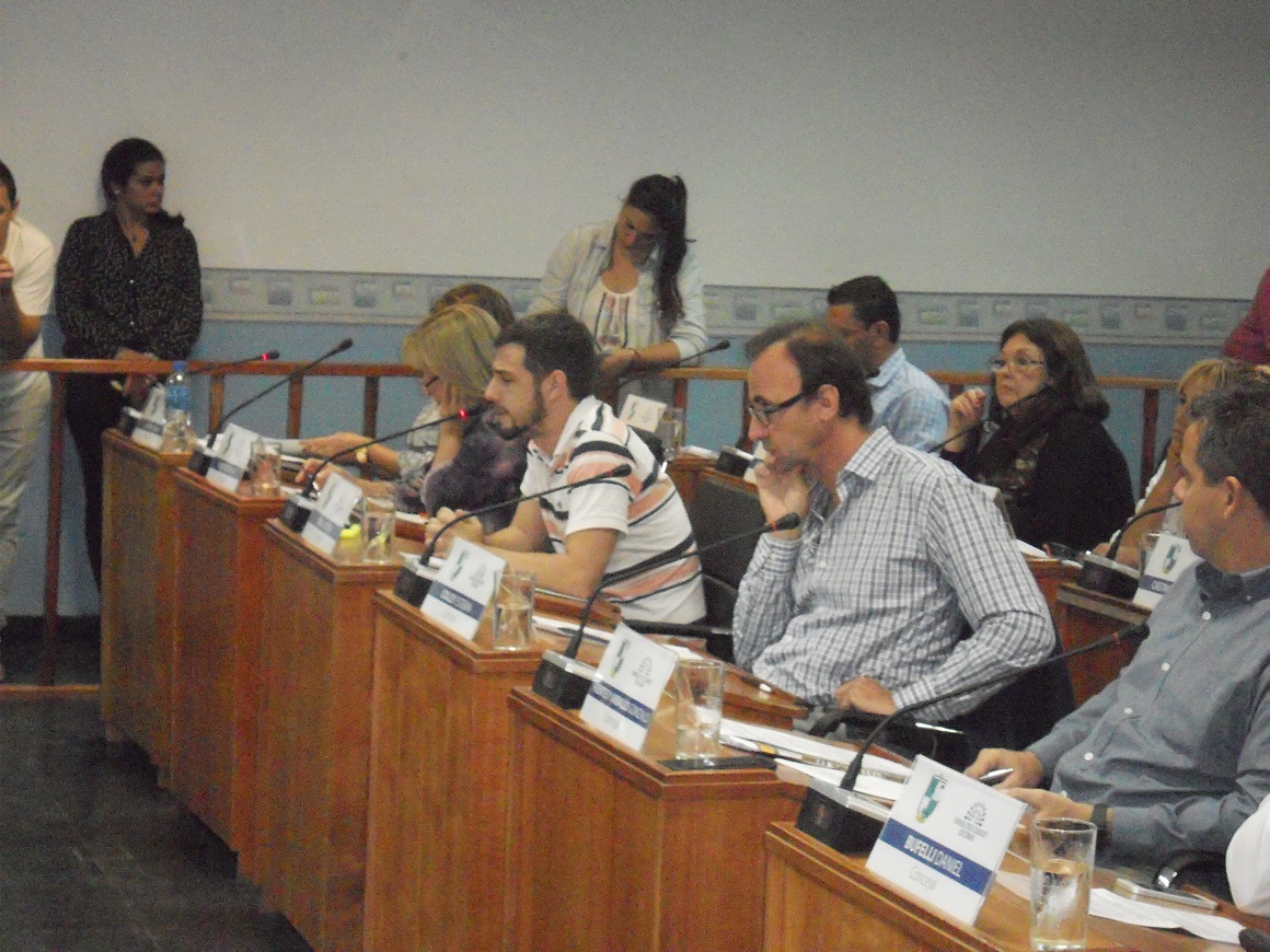 Vila y Colley lamentaron no poder modificar una ordenanza