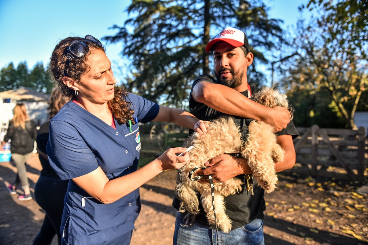 Un éxito el festejo por el Día del Animal en Maschwitz