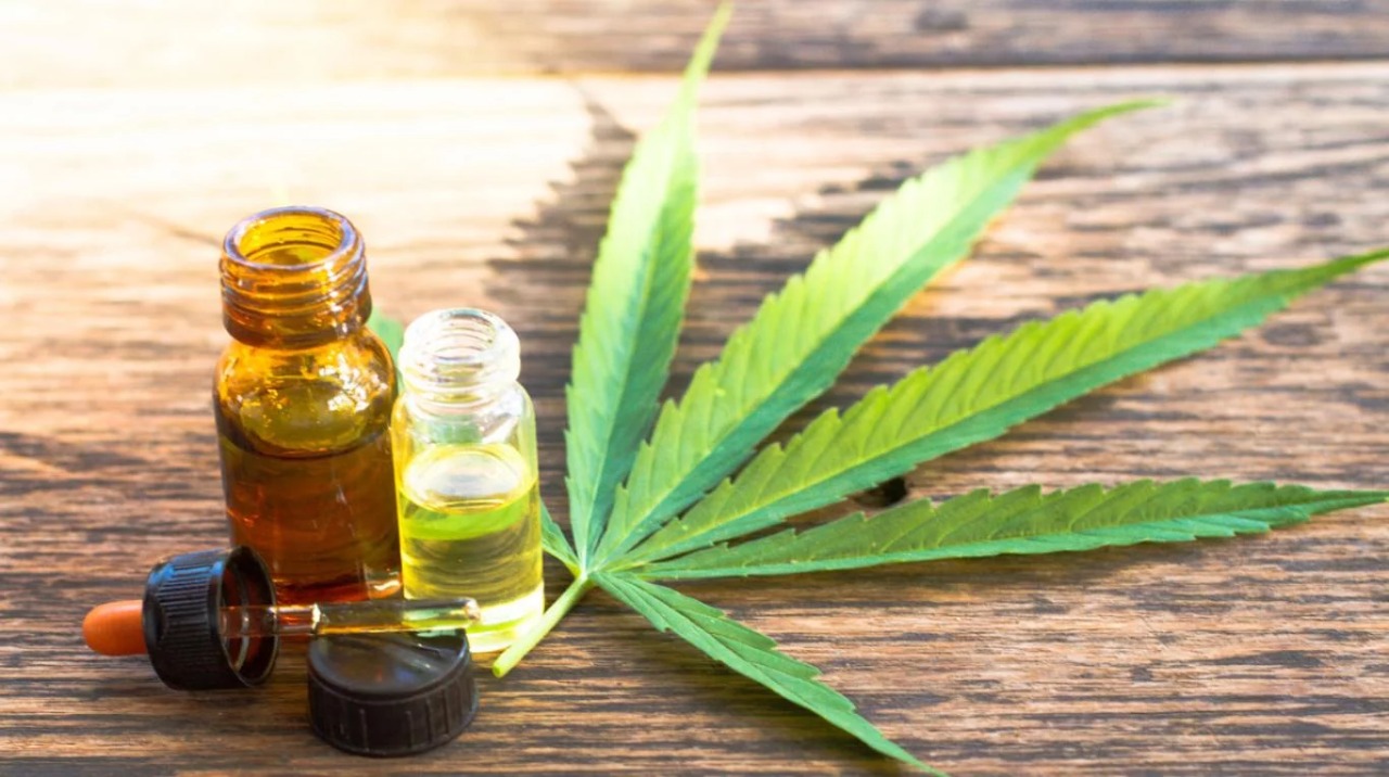 Organizadas por la Municipalidad de Escobar, se llevarán a cabo jornadas sobre el cannabis y la salud en el Teatro Seminari