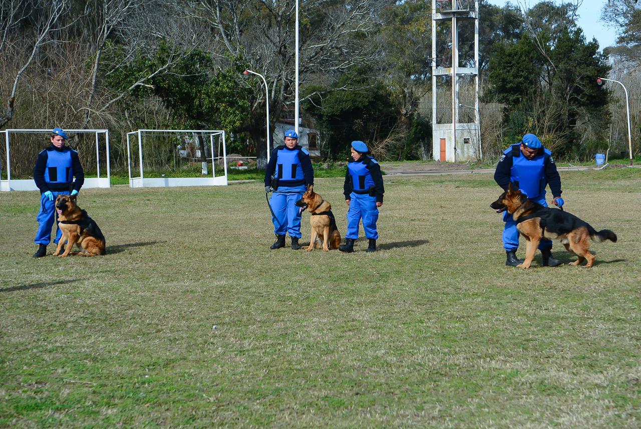 El Ministerio de Seguridad de la Provincia reconoció a la División Canina de Escobar por el esclarecimiento de un femicidio ocurrido en San Pedro