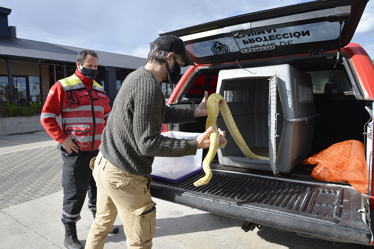 Apareció una serpiente pitón en el centro de Tigre