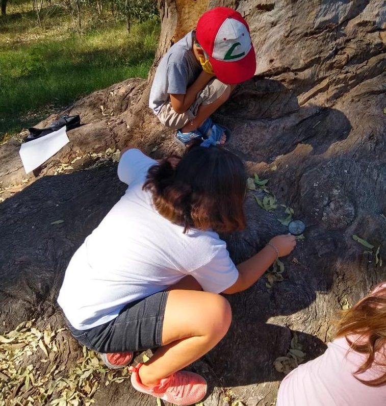 Primer encuentro de mini protectores ambientales en la Reserva Natural Educativa de Maschwitz
