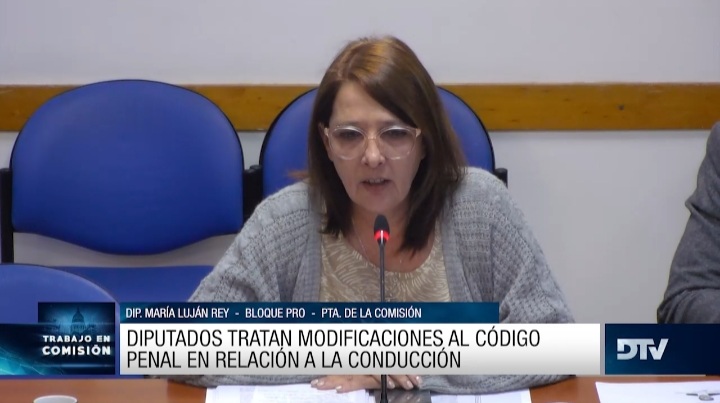 Picadas: comenzó a debatirse modificar el Código Penal