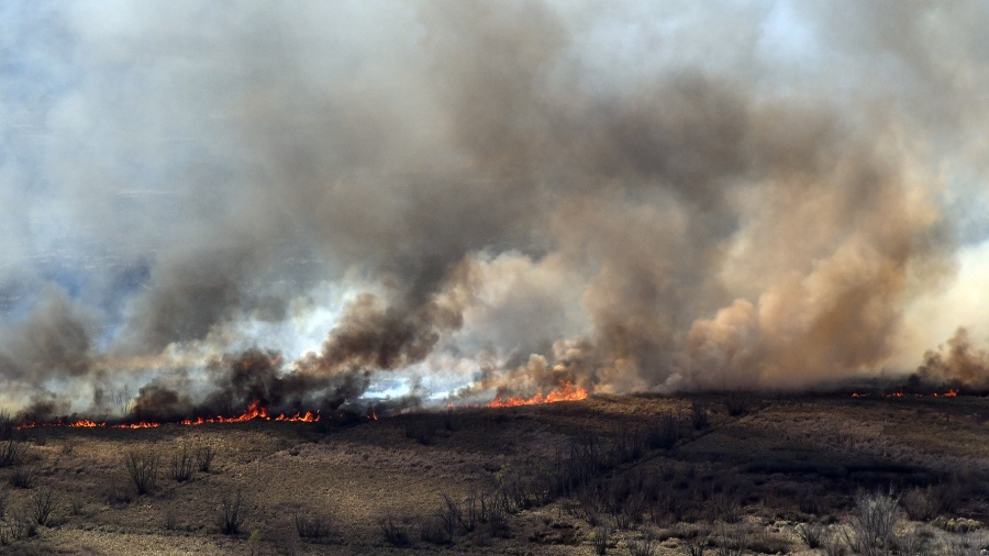 Según científicos, restaurar los humedales del río Paraná tras los incendios llevará más de 300 años