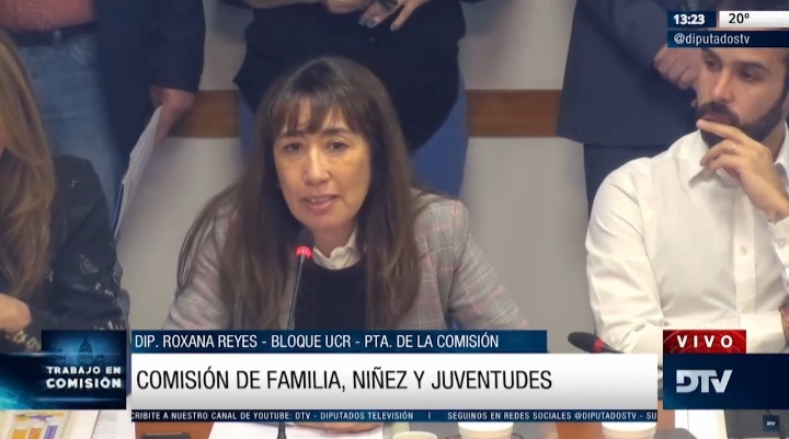 En Diputados, Marisa Graham brindó detalles del informe anual de la gestión de la Defensoría
