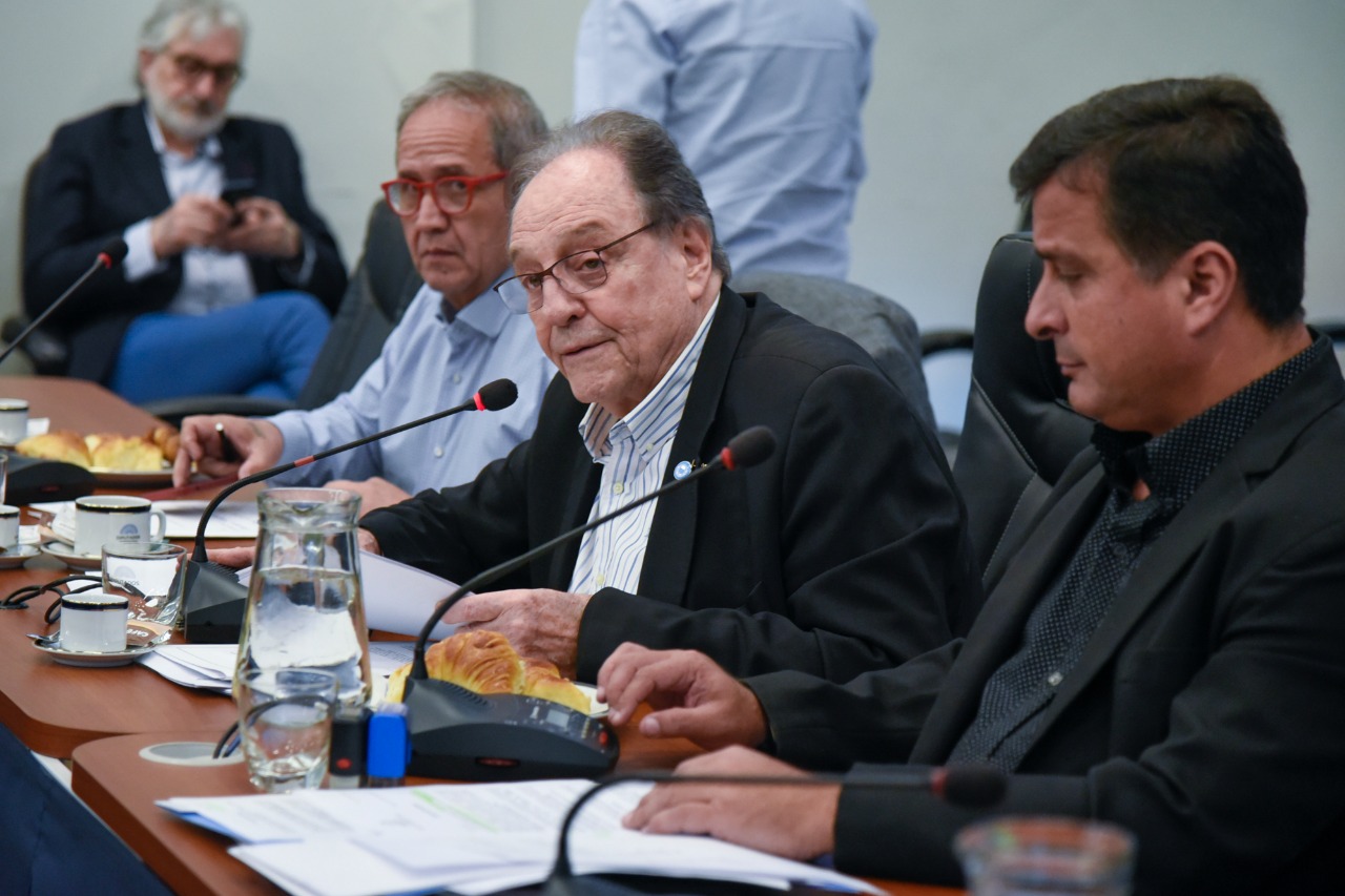 Capacitación a funcionarios sobre violencia en niños y adolescentes: Diputados busca dar media sanción