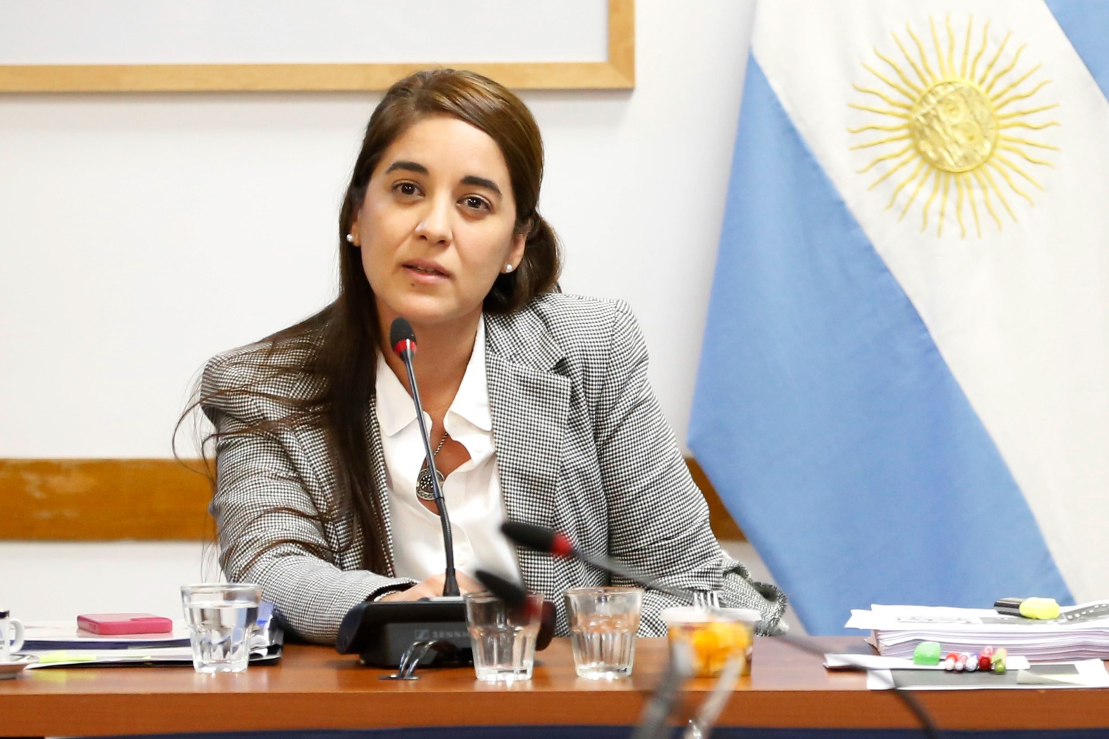 Juicio político: testigos expusieron sobre la obra social del poder judicial