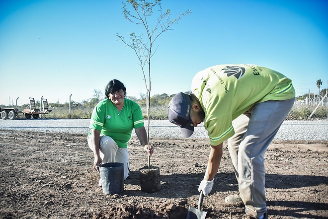 Se plantaron en Escobar 7.200 árboles nativos