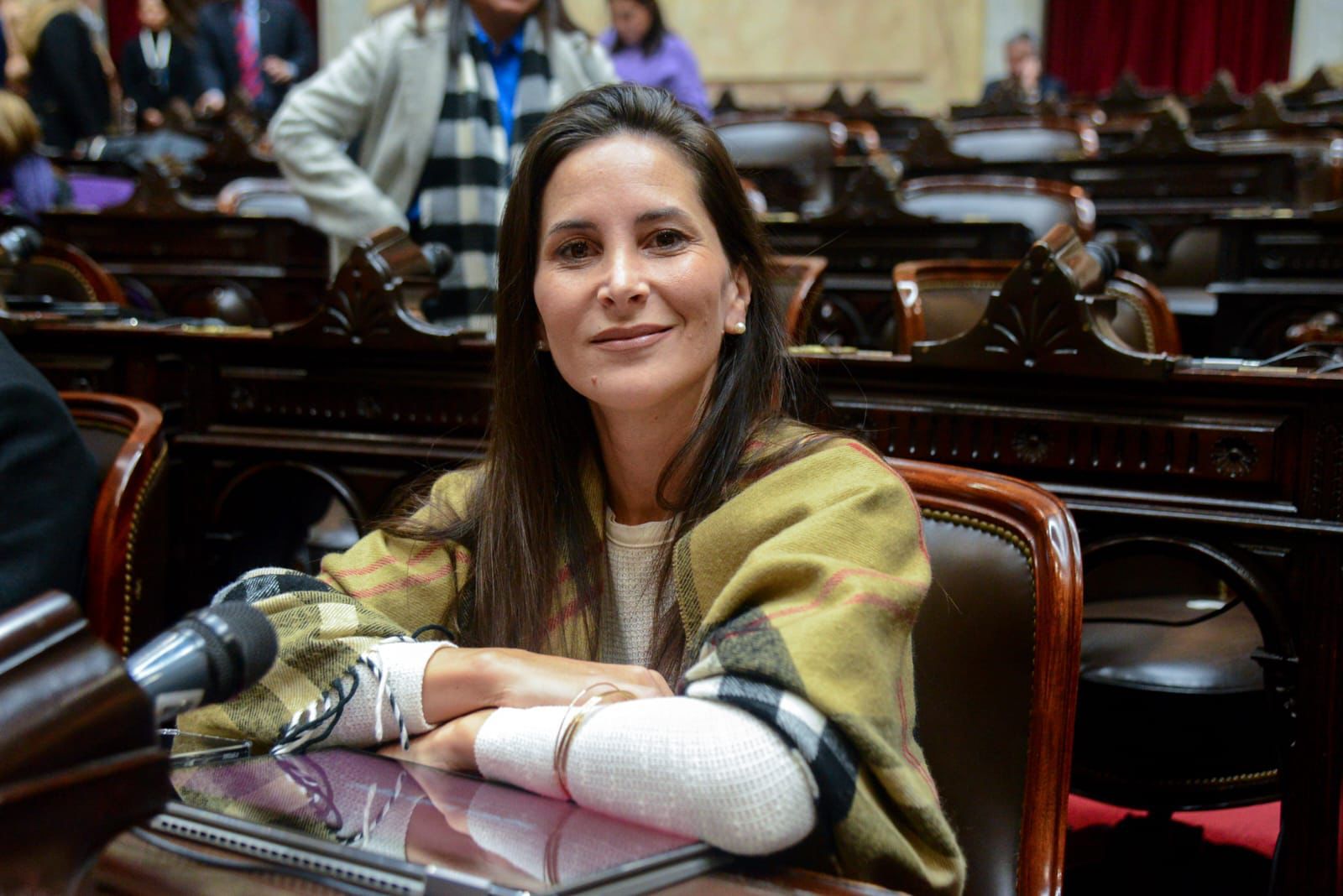 “Aerolíneas Argentinas es parte de una decisión de hacer crecer el turismo”