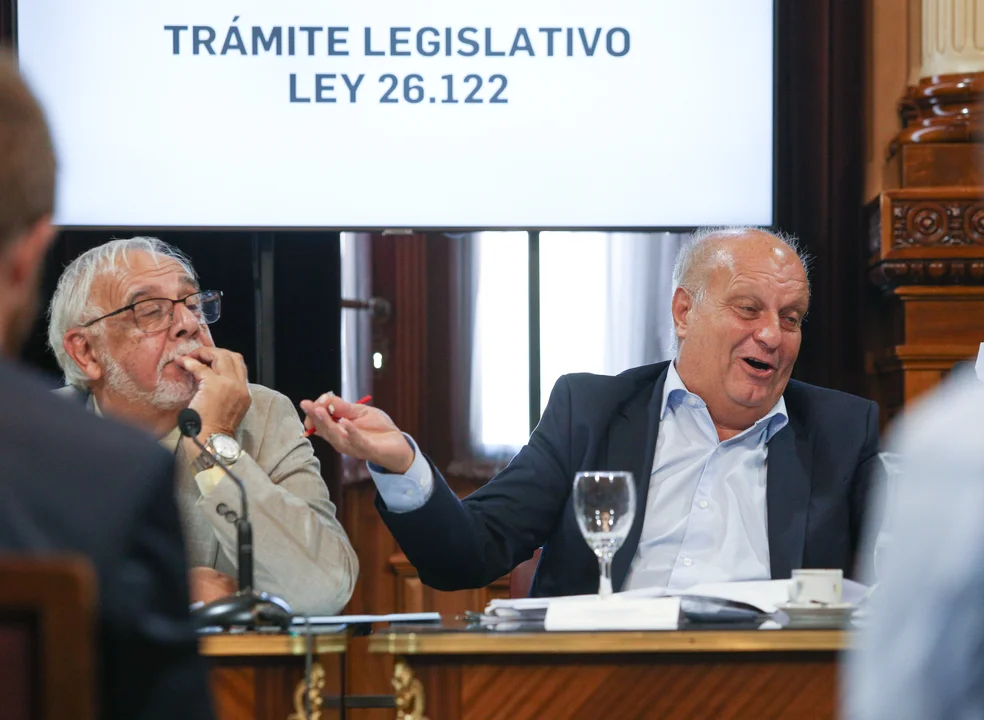 La Bicameral de Trámite Legislativo empezará a tratar los decretos de la era Milei