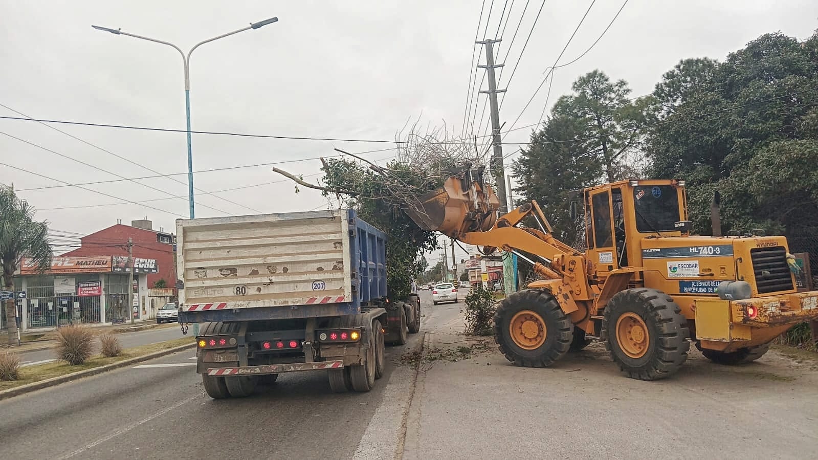 Belén, Maschwitz y Garín: cronograma de recolección de ramas