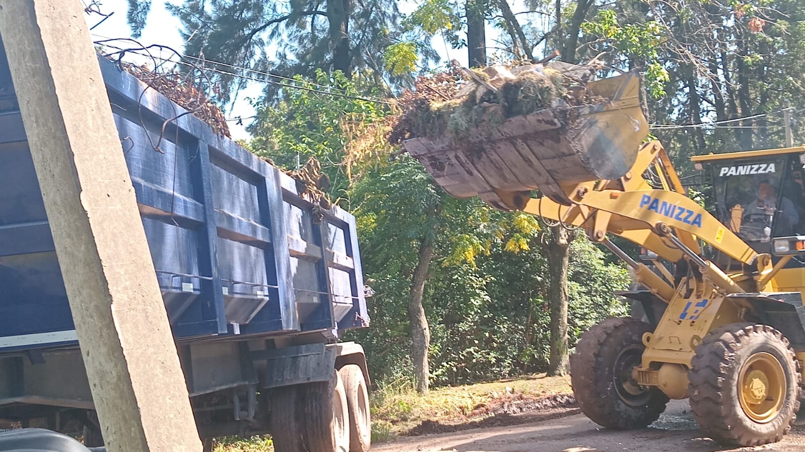 Escobar: cronograma del sistema municipal de recolección de ramas para esta semana